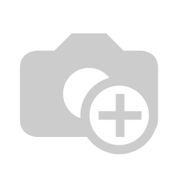 EL TREN DEL VALLÈS